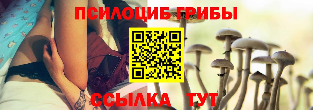 Псилоцибиновые грибы MAGIC MUSHROOMS  Вход с VPN  Люберцы 